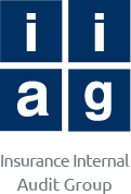 IIAG Logo